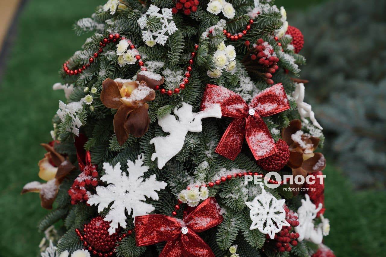 Тайна новогодней елки на могиле Кернеса